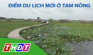 Du Lịch Tam Nông Đồng Tháp