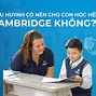 Học Cambridge Bao Nhiêu Tiền