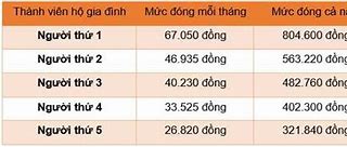 Mức Đóng Bảo Hiểm Y Tế Tự Nguyện 2024