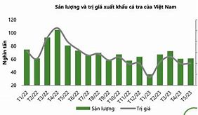 Thực Trạng Xuất Khẩu Cá Tra Của Việt Nam Năm 2022 Là