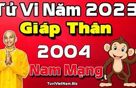 Tử Vi Tuổi Thân 2004 Nam Mạng