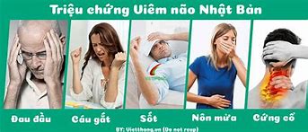 Viêm Não Nhật Bản Và Viêm Não Mô Cầu Khác Nhau Như Thế Nào